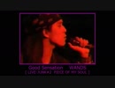 Good Sensation　WANDS 【 LIVE-JUNK#2 】