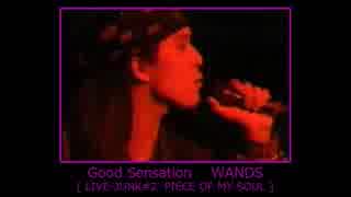 Good Sensation WANDS 【 LIVE-JUNK#2 】 - ニコニコ動画