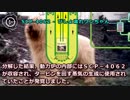 SCP-4062 - びしょ濡れワンちゃん