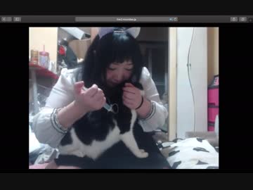 腎不全の猫の自宅点滴