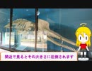 ＮＳ－１で行く！くじらの眠る丘♪