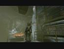 [RISE OF THE TOMB RAIDER]春になりましたが探検家になってみる part16
