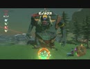 【実況】ゼルダの伝説BotW 十数年ぶりにゼルダをプレイPart76