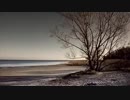 白夜 【初音ミク オリジナル】