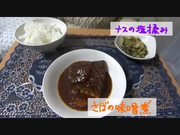 【ＮＷＴＲの中身】さばの味噌煮作ってみたンゴ