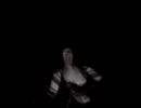 #19【ホラー実況】シャッターチャンスを逃すな！【零～zero～】
