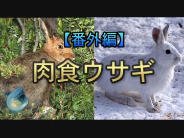 【番外編】変な生き物　part3
