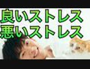 あなたを生かすストレス、殺すストレスの見分け方