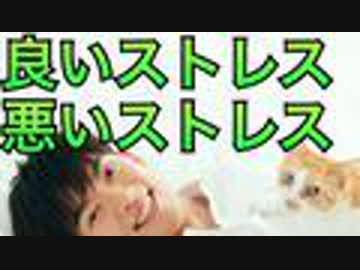 あなたを生かすストレス、殺すストレスの見分け方