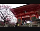 【ゆっくり】徒歩で日本一周part552【京都】