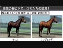 【ウイニングポスト８】トウカイテイオーの仔でＧⅠ勝利を目指す part110