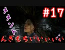 【DBD】群馬散歩【実況】part17