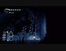 【第１８夜】眠れぬ夜のHOLLOW KNIGHT【実況】