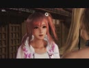 DoA6 :: Story Mode 08: Mission! (Marie-Rose & Honoka)