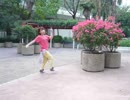 【櫻井さとり】二宮和也　秘密【踊ってみた】