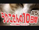 うりこさんの10日間 - 2019#5