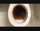 コーラをトイレに流してみた