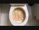 マシュマロをトイレに流してみた５