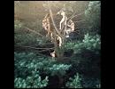 Sigur Ros - Gobbledigook