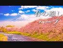 作業用BGM【春の癒し曲】心がほっこり温まる、優しいハープ音楽