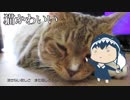 【結月ゆかり】Welcome【オリジナル】