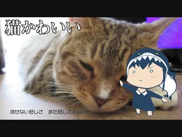 【結月ゆかり】Welcome【オリジナル】