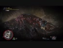 【MHW】静寂の帳 裸ランス 09'37