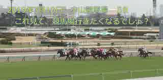 2019年3月10日　快晴の中山競馬場　５R