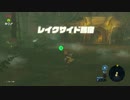 【ゼル伝BotW】100年の眠りから目覚めた勇者の冒険４９【もちまる】