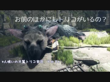 【君と紡ぐ神話】人喰いの大鷲トリコ実況してみました【その９】