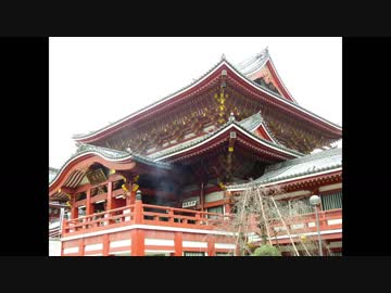 大須観音のハト