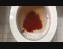 ケチャップをトイレに流してみた２