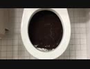 コーヒーをトイレに流してみた２
