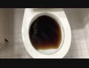 ダイエットコーラをトイレに流してみた