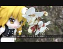 【実写東方】雨の日。桜のつぼみ