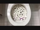 マシュマロとグリッターをトイレに流してみた