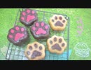 【ホワイトデー】手軽に作るケーキポップと肉球マドレーヌ【イベントなどに】