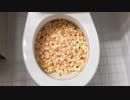 マシュマロをトイレに流してみた６