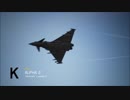 Ace Combat 7 Multiplayer03  チームデスマッチ  Typhoon + HCAA