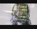 Bibio - Curls