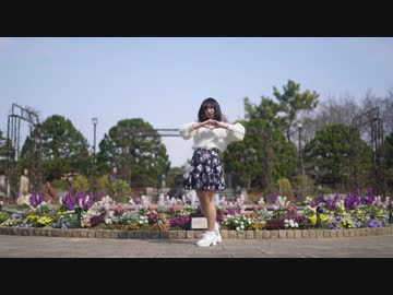 【ももかん】　恋をしよう　踊ってみた　【にらめっこ】