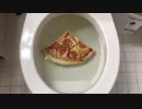 ピザをトイレに流してみた