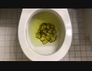 ピクルスをトイレに流してみた３