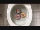 ドーナツをトイレに流してみた６