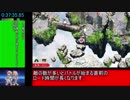 【RTA】大乱闘スマッシュブラザーズSPECIAL 灯火の星 はじめから＋ むずかしい any% 3:30:45.05 カービィチャート【part2】