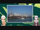 【ゆかり＆ONEラジオ・実況】あなたがここにいてほしい／イレギュラーハンターONE