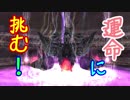 【実況】最高難易度でイースオリジンの物語を全力で楽しむ part63