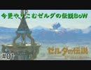 今更やりこみ始める！【ゼルダの伝説BoW】#1