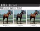 【ウイニングポスト８】トウカイテイオーの仔でＧⅠ勝利を目指す part111