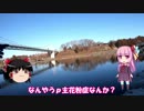 琴葉姉妹と行く釣行記録（釣り堀編part2）